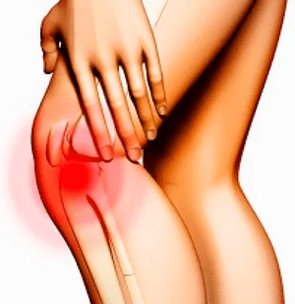 The anatomical structure of the knee